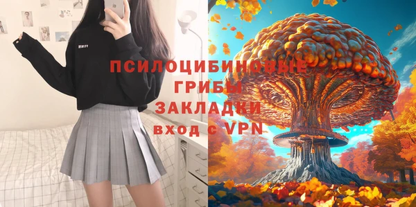 круглые Алексеевка
