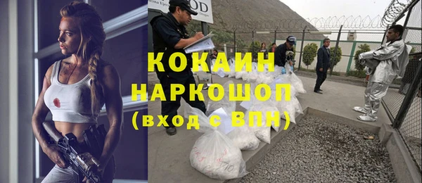 крисы Алзамай