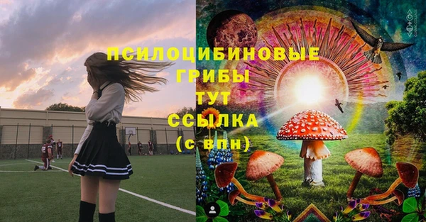 круглые Алексеевка