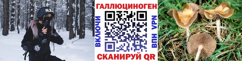 Псилоцибиновые грибы мухоморы  наркотики  Новороссийск 